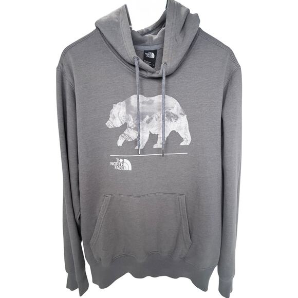 The North Face Other - The North Face Mens Hoodie Gray Bear Graphic Pullover Sweatshirt Large